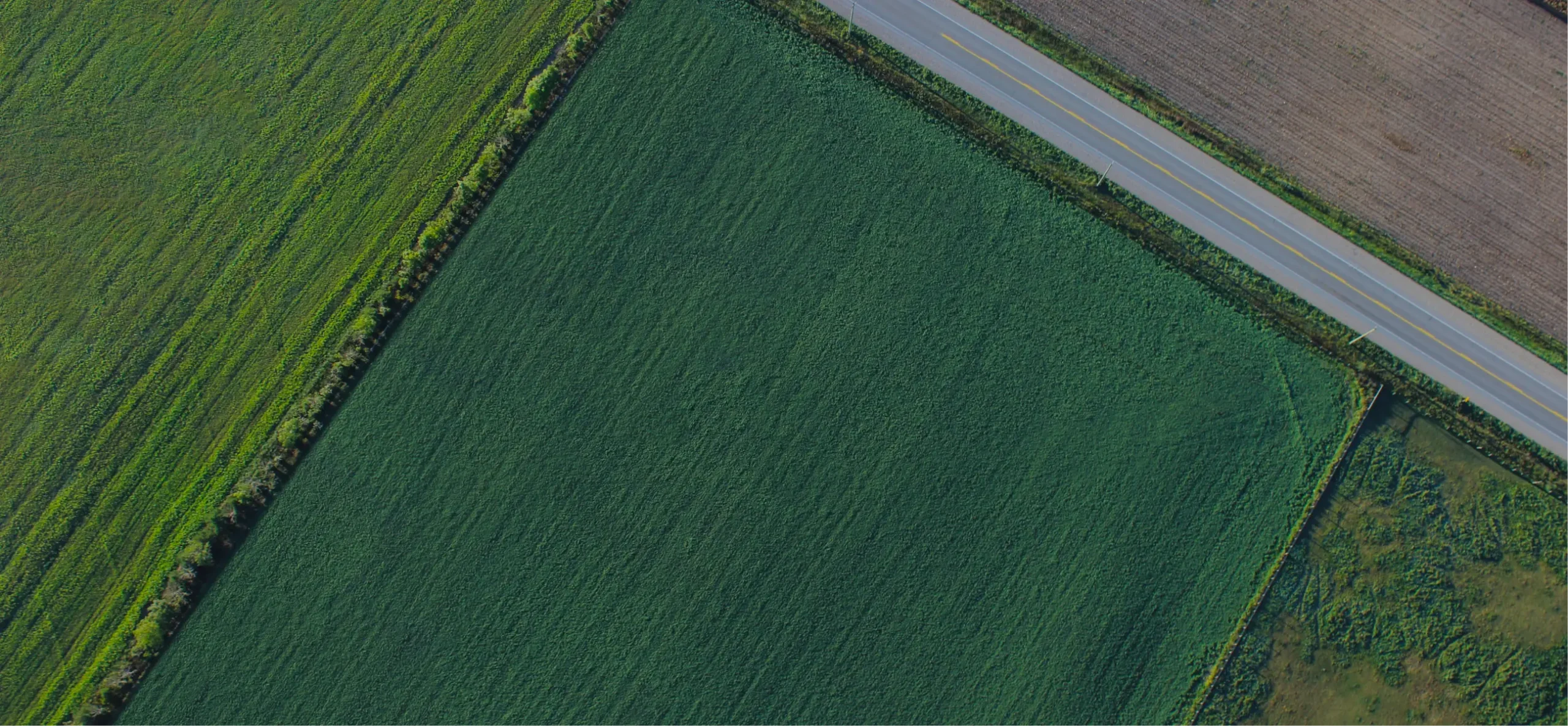 Photo of empty field for land development